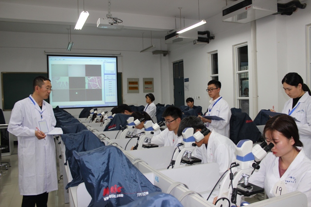 必赢电子游戏平台