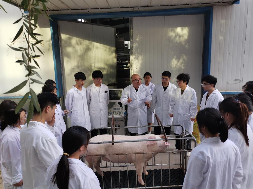 必赢电子游戏平台