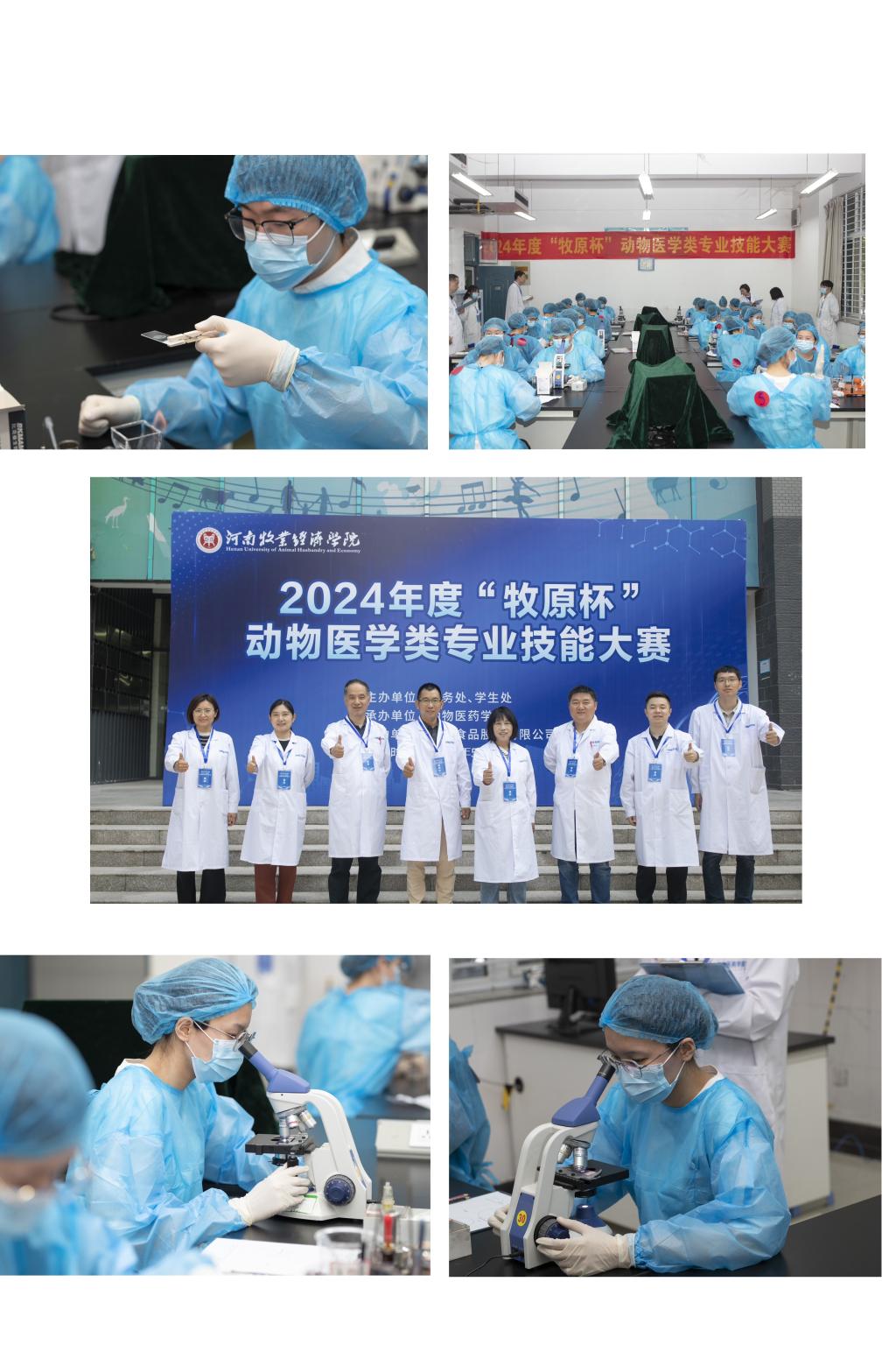 必赢电子游戏平台