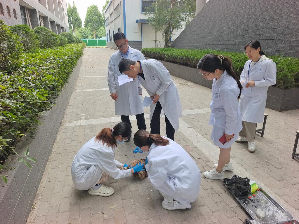 必赢电子游戏平台