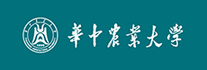 必赢电子游戏平台